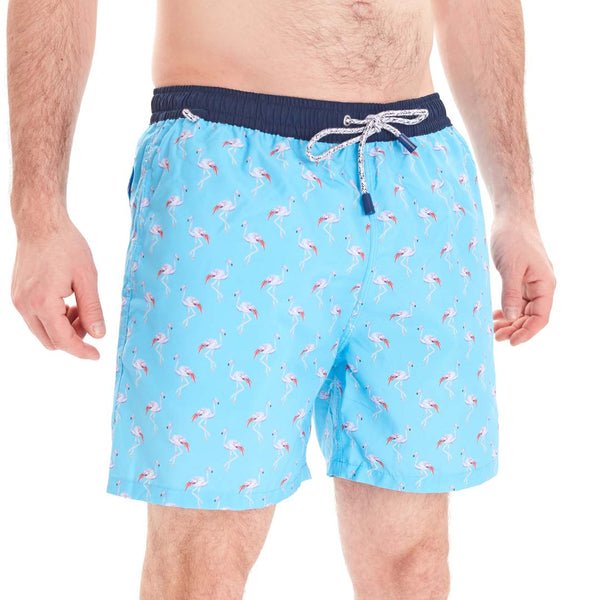 MS4705 - Flamingo turquoise