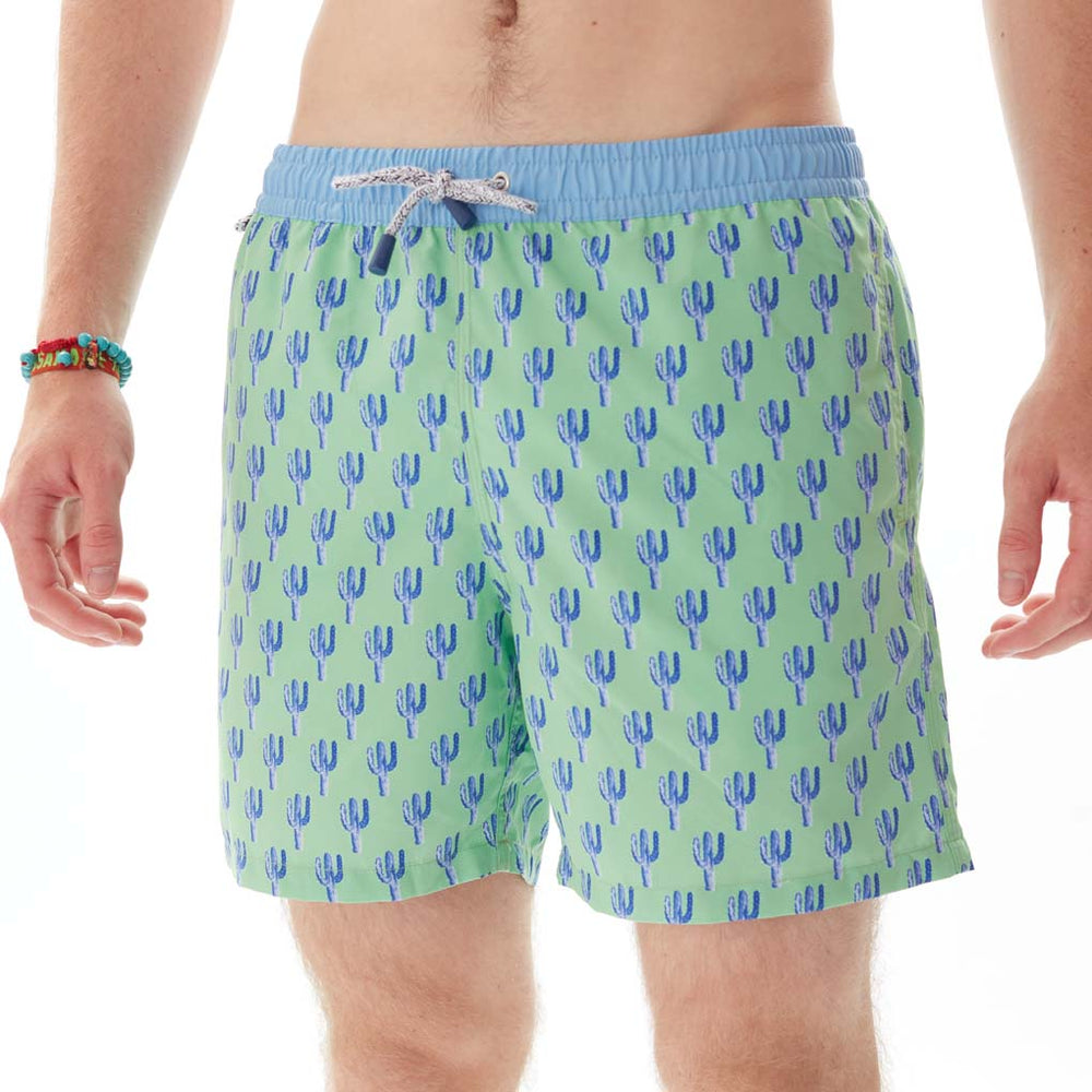 MS4918 - Cacti green