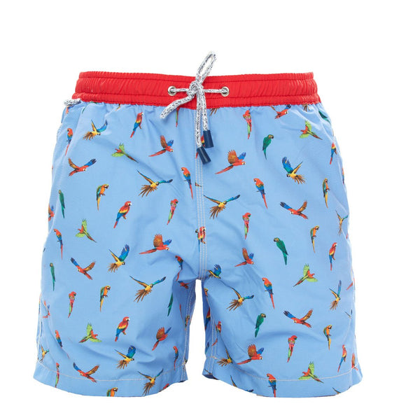 MS4310 - Parrots blu