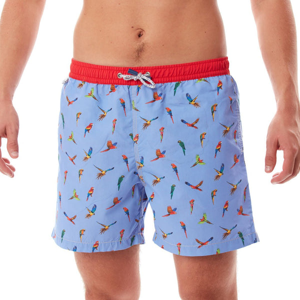 MS4310 - Parrots blu