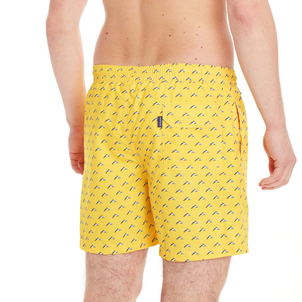 MS4512 - Dolphin yellow