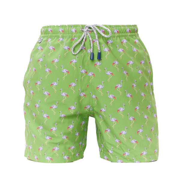 MS4706 - Flamingo cachi