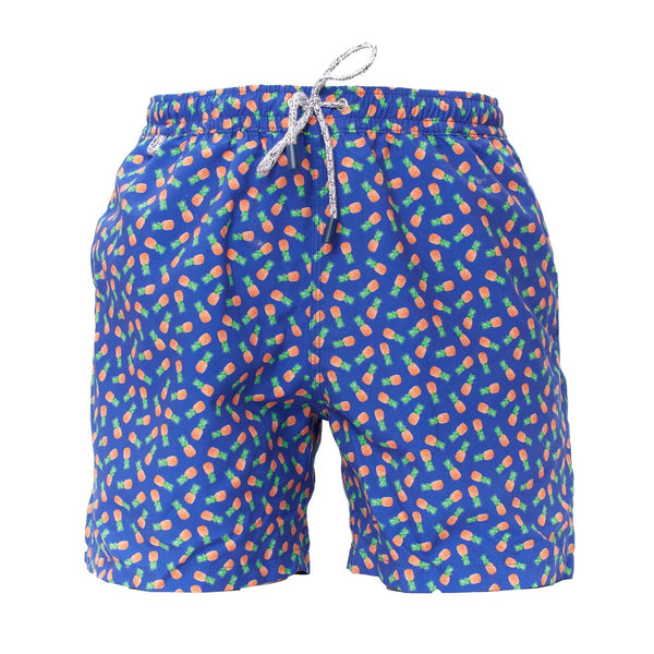 MS4723 - Blaue Ananas